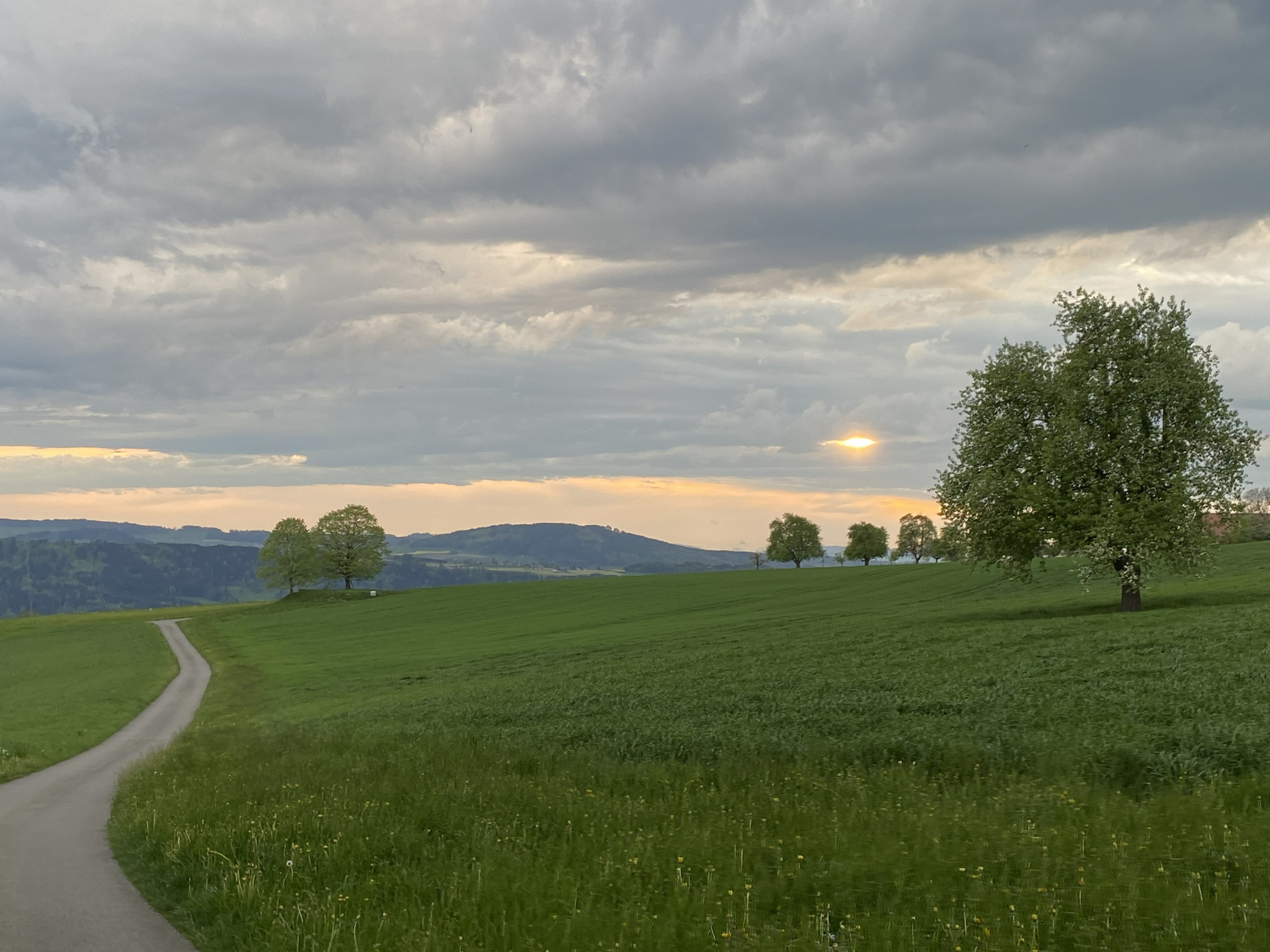 Hochsensibilität