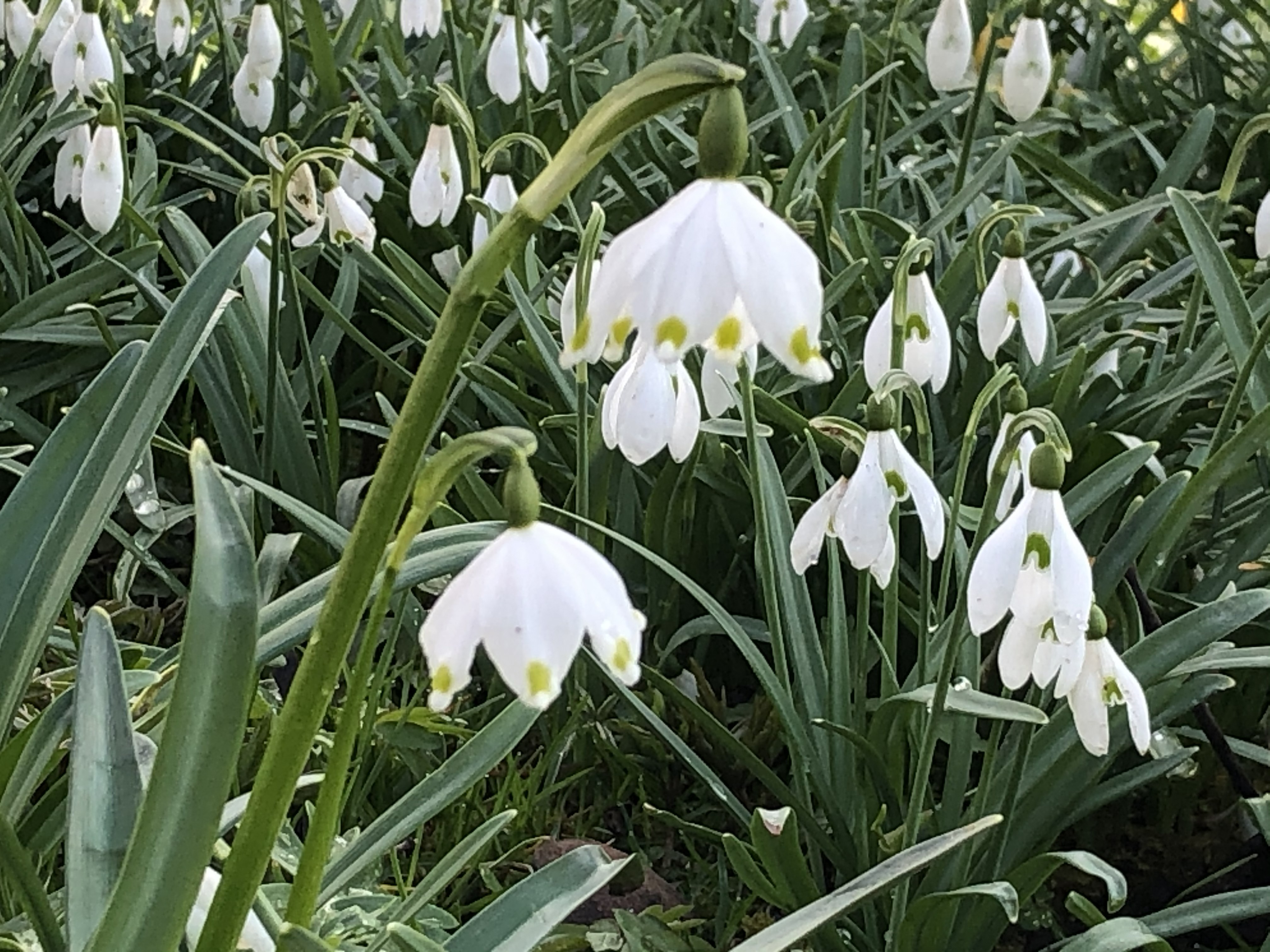 Wenn uns eine «Last von den Schultern», ein «Stein vom Herzen» fällt….